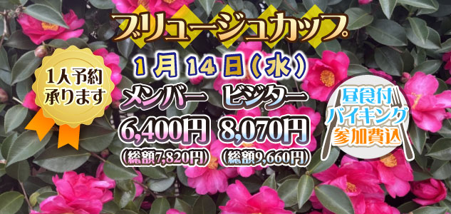 ブリュージュ　1/14